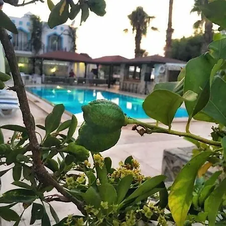 Hotel Ali Baba Otelio